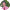 Paul Dawson