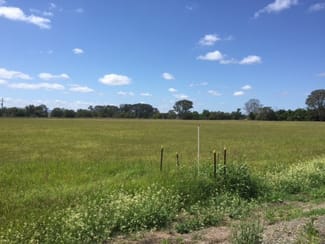 Rural / Farming commercial property leased at Lot 2,0 Mount Beppo Road Toogoolawah QLD 4313 Rural / Farming commercial property leased at Lot 2,0 Mount Beppo Road Toogoolawah QLD 4313