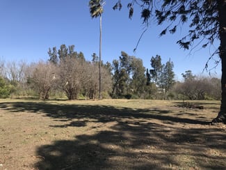 Rural / Farming commercial property leased at 9 Elderslie Road Branxton NSW 2335 Rural / Farming commercial property leased at 9 Elderslie Road Branxton NSW 2335