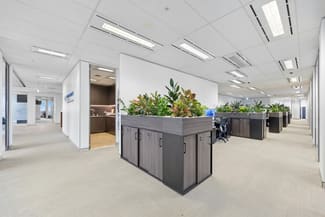 Medical / Consulting commercial property for lease at Level 22/66 Goulburn Street Sydney NSW 2000
