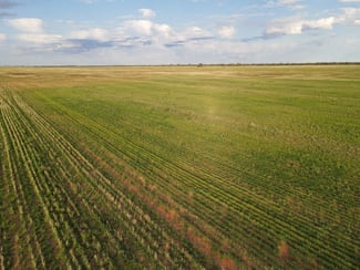Rural / Farming commercial property for lease at 275 James Road Bael Bael VIC 3579 Rural / Farming commercial property for lease at 275 James Road Bael Bael VIC 3579