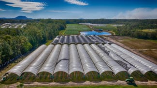 Rural / Farming commercial property for lease at 136 Mansfield Road Elimbah QLD 4516 Rural / Farming commercial property for lease at 136 Mansfield Road Elimbah QLD 4516