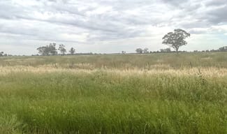 Rural / Farming commercial property for lease at 294 Berida Road Curban NSW 2827