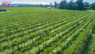 Rural / Farming commercial property sold at 60 Stringer Road Leeton NSW 2705