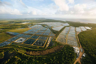 Rural / Farming commercial property for sale at Alva QLD 4807 Rural / Farming commercial property for sale at Alva QLD 4807