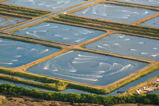 Rural / Farming commercial property for sale at Alva QLD 4807 Rural / Farming commercial property for sale at Alva QLD 4807