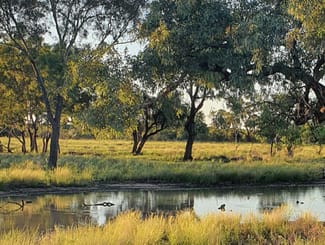 Rural / Farming commercial property sold at Tarwoona Downs, 1906 Burrawantie Road Enngonia NSW 2840 Rural / Farming commercial property sold at Tarwoona Downs, 1906 Burrawantie Road Enngonia NSW 2840