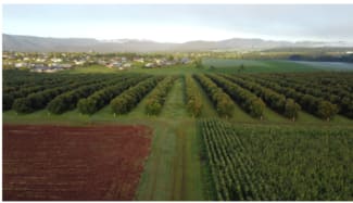 Rural / Farming commercial property for sale at 43-139 Tinaroo Falls Dam Road Atherton QLD 4883 Rural / Farming commercial property for sale at 43-139 Tinaroo Falls Dam Road Atherton QLD 4883