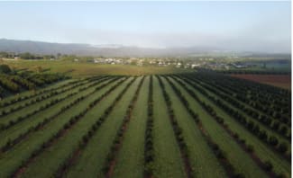 Rural / Farming commercial property for sale at 43-139 Tinaroo Falls Dam Road Atherton QLD 4883 Rural / Farming commercial property for sale at 43-139 Tinaroo Falls Dam Road Atherton QLD 4883