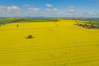 Rural / Farming commercial property sold at 187 Smiths Road Collingullie NSW 2650