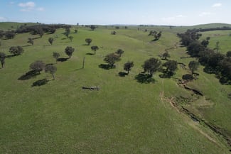 Rural / Farming commercial property sold at Yarra, Hughstonia Road Binalong NSW 2584