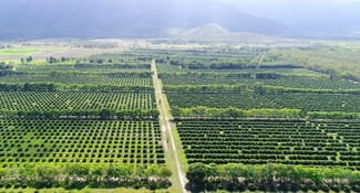 Farmlet commercial property for sale at a/34338 Bruce Highway Mount Surround QLD 4809 Farmlet commercial property for sale at a/34338 Bruce Highway Mount Surround QLD 4809