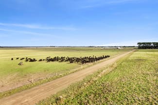 Rural / Farming commercial property sold at Ecklin South VIC 3265