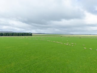 Rural / Farming commercial property sold at Evandale TAS 7212 Rural / Farming commercial property sold at Evandale TAS 7212