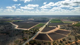 Rural / Farming commercial property sold at 216 Hollands Lake Road Coomealla NSW 2717 Rural / Farming commercial property sold at 216 Hollands Lake Road Coomealla NSW 2717