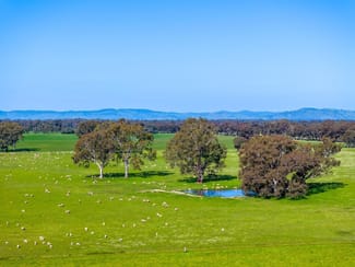 Rural / Farming commercial property sold at VIC Rural / Farming commercial property sold at VIC