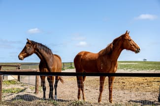 Rural / Farming commercial property sold at 478 Usher Road Gifford Hill SA 5253 Rural / Farming commercial property sold at 478 Usher Road Gifford Hill SA 5253