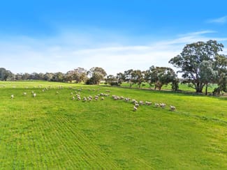 Rural / Farming commercial property for sale at Pinewood, 870 Walshs Bridge Road Kaarimba VIC 3635
