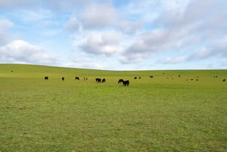 Rural / Farming commercial property sold at Rushy Lagoon TAS 7264 Rural / Farming commercial property sold at Rushy Lagoon TAS 7264