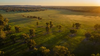 Rural / Farming commercial property sold at 674 Old Wagga Road Narrandera NSW 2700 Rural / Farming commercial property sold at 674 Old Wagga Road Narrandera NSW 2700