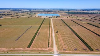 Rural / Farming commercial property sold at 201 Dellapool Road Narrandera NSW 2700 Rural / Farming commercial property sold at 201 Dellapool Road Narrandera NSW 2700