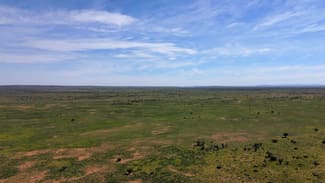 Rural / Farming commercial property sold at Martins Well Station 2101 Erudina Road Martins Well SA 5440