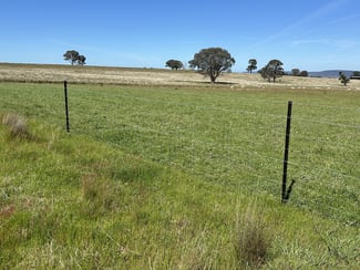 Rural / Farming commercial property for sale at 424 Trebane Road Crowther NSW 2803