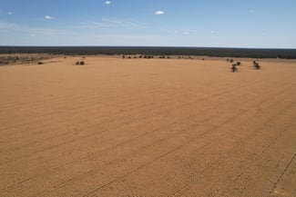 Rural / Farming commercial property for sale at 3282 Gungalman Road Carinda NSW 2831