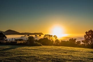 Hotel, Motel, Pub & Leisure commercial property for sale at Dorrigo NSW 2453