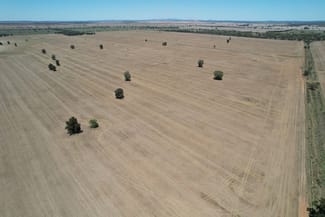 Rural / Farming commercial property sold at 14787 Lachlan Valley Way Kiacatoo NSW 2877 Rural / Farming commercial property sold at 14787 Lachlan Valley Way Kiacatoo NSW 2877