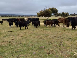Rural / Farming commercial property sold at 1564 Edison Mill Road Dale WA 6304 Rural / Farming commercial property sold at 1564 Edison Mill Road Dale WA 6304