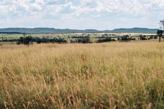 Rural / Farming commercial property sold at 10077 Hoganthulla Road Mungallala QLD 4467 Rural / Farming commercial property sold at 10077 Hoganthulla Road Mungallala QLD 4467