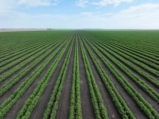Rural / Farming commercial property sold at St Ruth QLD 4405