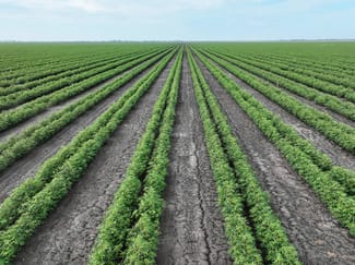 Rural / Farming commercial property sold at St Ruth QLD 4405