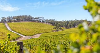 Rural / Farming commercial property sold at Hahndorf SA 5245 Rural / Farming commercial property sold at Hahndorf SA 5245