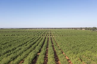 Rural / Farming commercial property sold at 989 Euroley Road Euroley NSW 2700 Rural / Farming commercial property sold at 989 Euroley Road Euroley NSW 2700