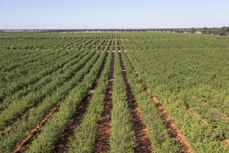Rural / Farming commercial property sold at 989 Euroley Road Euroley NSW 2700 Rural / Farming commercial property sold at 989 Euroley Road Euroley NSW 2700