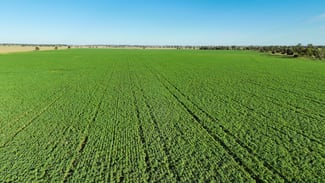 Rural / Farming commercial property sold at 214 Drillham South Road Drillham QLD 4424