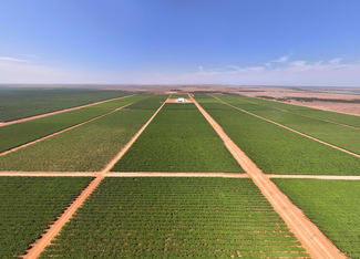 Rural / Farming commercial property for sale at Talia Farms 1251 Stanitzki Road Pike River SA 5340 Rural / Farming commercial property for sale at Talia Farms 1251 Stanitzki Road Pike River SA 5340