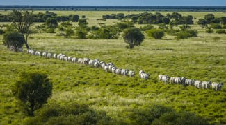 Rural / Farming commercial property sold at Elrose Station Landsborough Highway Mckinlay QLD 4823