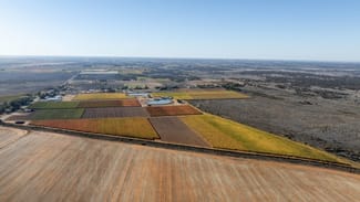 Rural / Farming commercial property sold at 3784 Walnut Avenue Koorlong VIC 3501