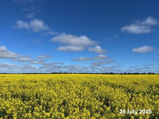 Rural / Farming commercial property sold at 207 Wilgaroi Road Bellata NSW 2397 Rural / Farming commercial property sold at 207 Wilgaroi Road Bellata NSW 2397