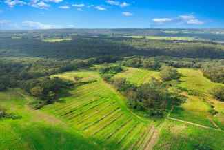Rural / Farming commercial property sold at Lillicrapps Road Mangrove Mountain NSW 2250