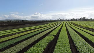 Rural / Farming commercial property for sale at Mahons Road Coominya QLD 4311 Rural / Farming commercial property for sale at Mahons Road Coominya QLD 4311