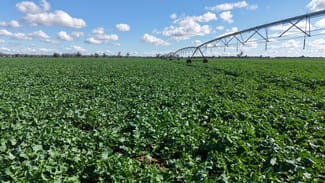 Rural / Farming commercial property sold at 7454 Lachlan Valley Way Forbes NSW 2871 Rural / Farming commercial property sold at 7454 Lachlan Valley Way Forbes NSW 2871