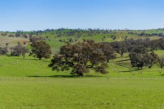 Rural / Farming commercial property for sale at 670 Leahy Road Wagga Wagga NSW 2650 Rural / Farming commercial property for sale at 670 Leahy Road Wagga Wagga NSW 2650