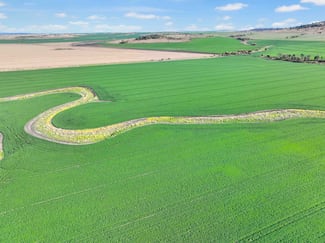 Rural / Farming commercial property for sale at Croppa Creek NSW 2411 Rural / Farming commercial property for sale at Croppa Creek NSW 2411