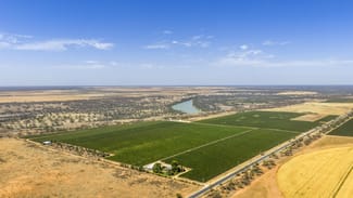 Rural / Farming commercial property sold at 14921 & 14985 Sturt Highway Wigley Flat SA 5330 Rural / Farming commercial property sold at 14921 & 14985 Sturt Highway Wigley Flat SA 5330