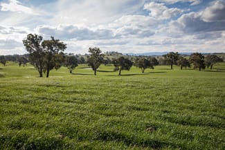 Rural / Farming commercial property sold at Glenarvon, Burnt Yards Road Mandurama NSW 2792