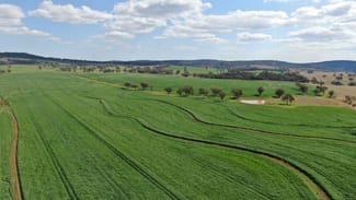 Rural / Farming commercial property for sale at 11 Rosehill Road Rocky Creek NSW 2371 Rural / Farming commercial property for sale at 11 Rosehill Road Rocky Creek NSW 2371